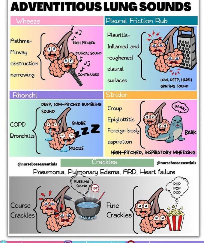 Adventitious Lung Sounds