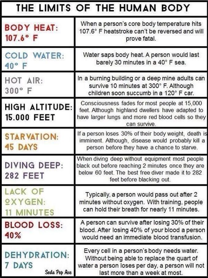Human body fact