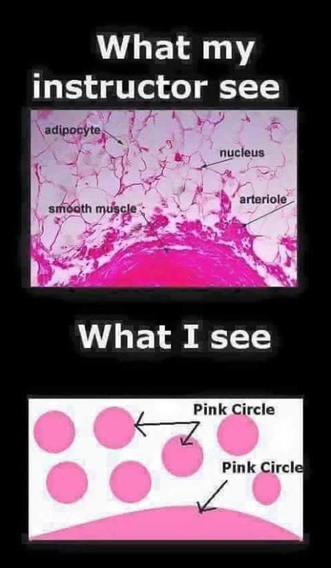 haha