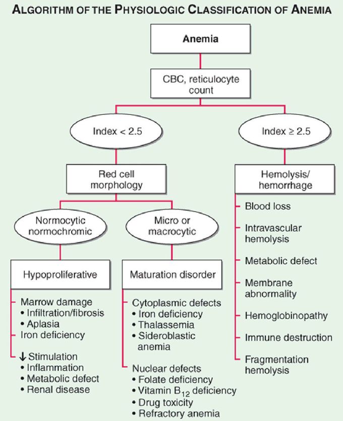 Anemia