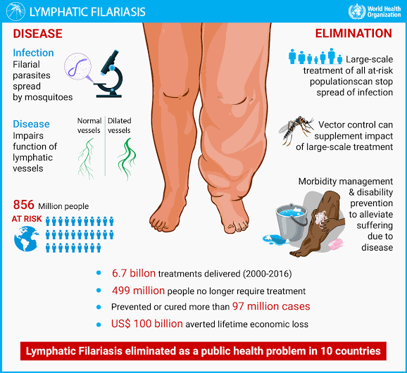 Filariasis - MEDizzy