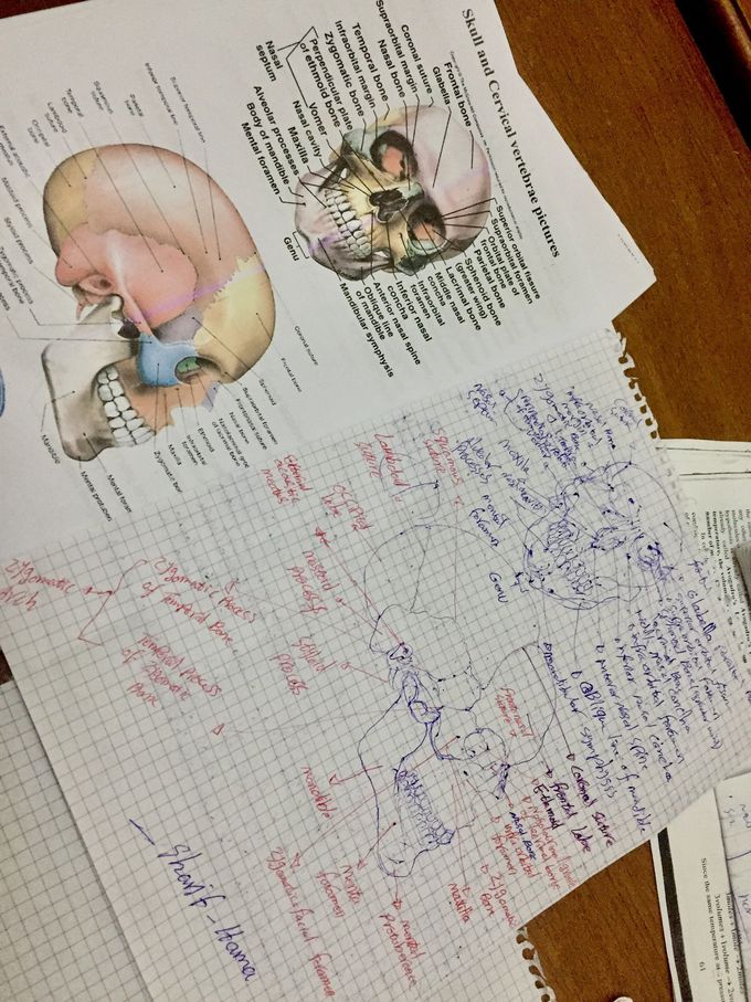 Anatomy