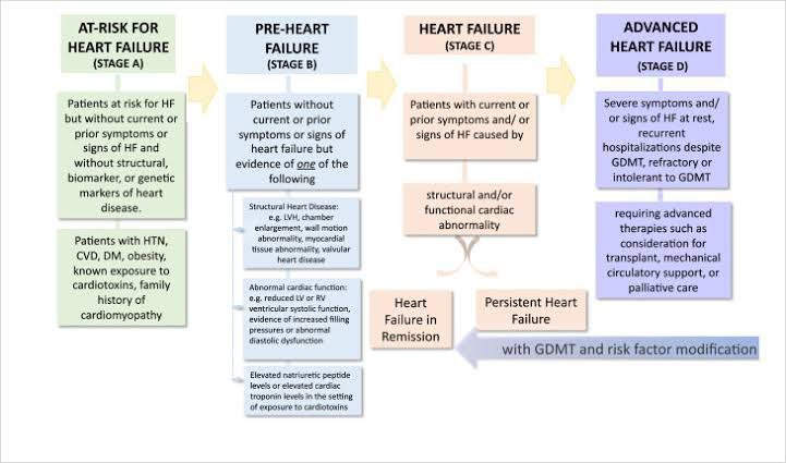 Stages Of Heart Failure - MEDizzy