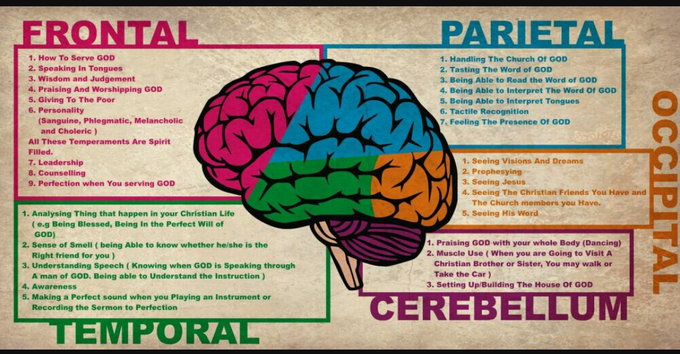 Brain - MEDizzy