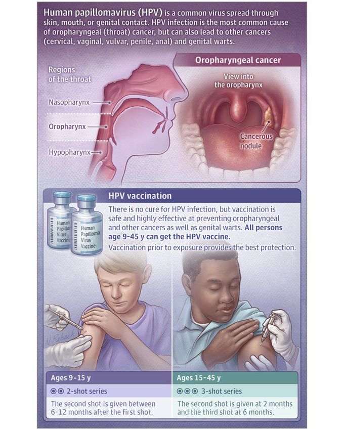 Human papillomavirus HPV