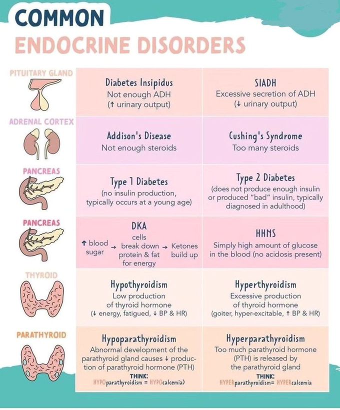 Common Endocrine Disorders