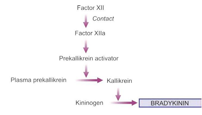 Kinin system