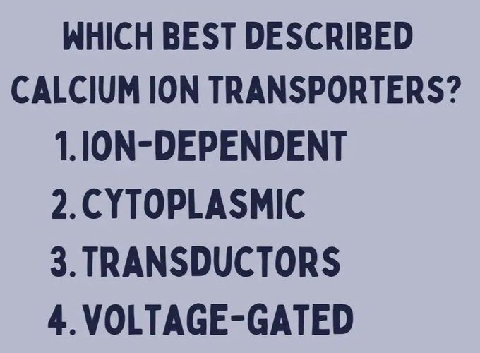 Calcium Ion Transporter