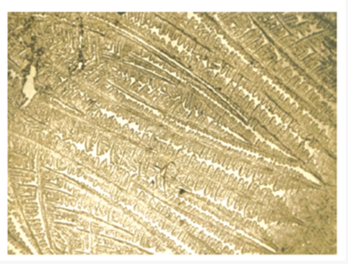 Characteristic pattern of fern formation seen during estrogenic phase of menstrual cycle