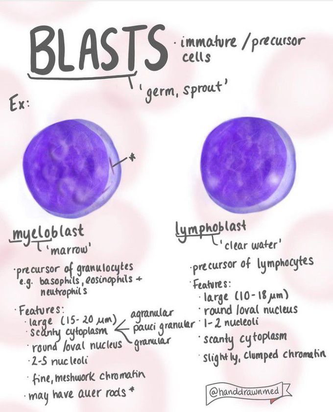 What are Blasts?