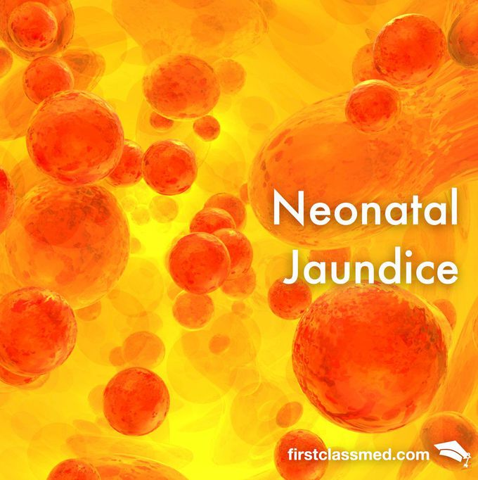 Neonatal Jaundice - The physiological jaundice in newborns