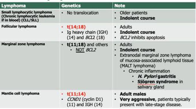 Lymphoma