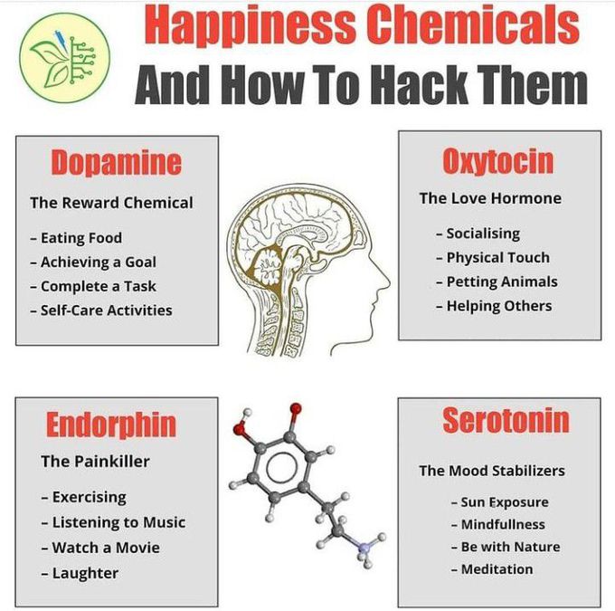Happiness hormones