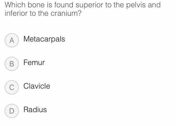 Guess the answer guys 😇