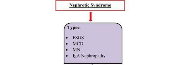 These are the types of Nephrotic syndrome