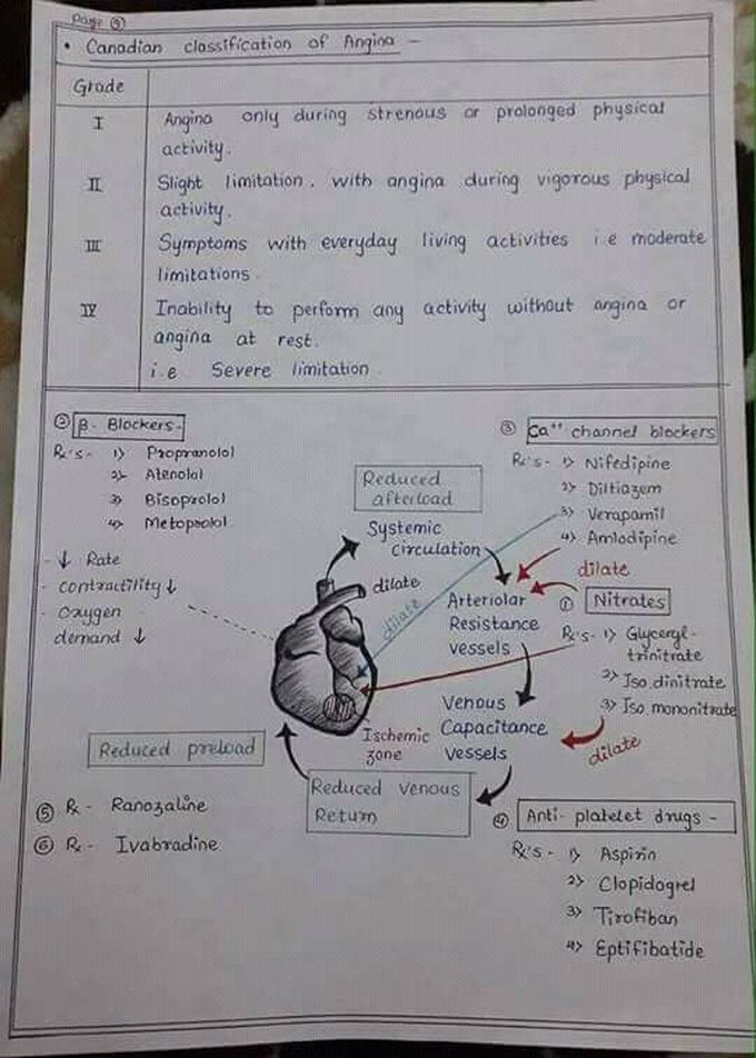 Classification of ANGINA