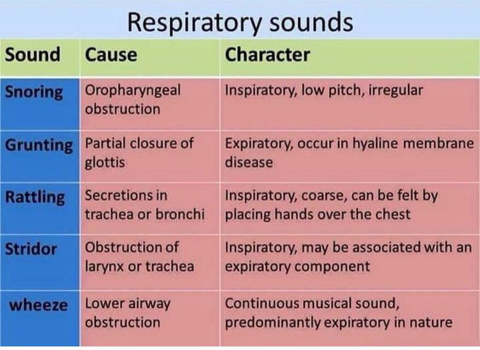 Respiratory - MEDizzy