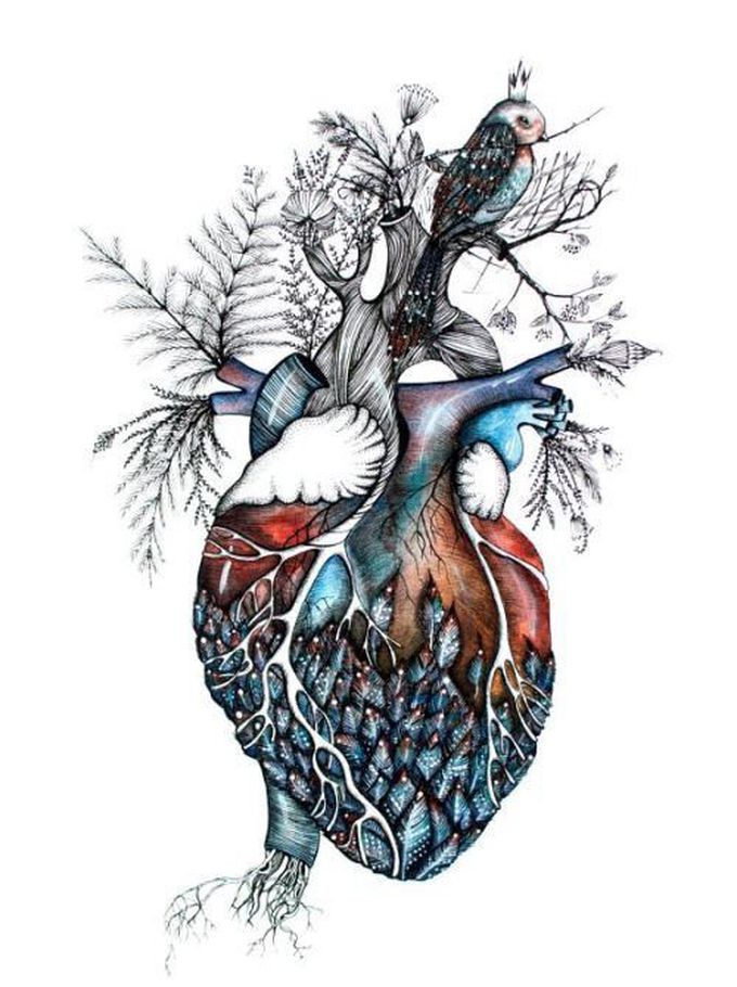 Amazing picture for heart 😍😍😍💝💝💝