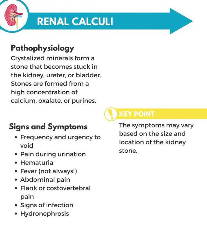 gabapentin renal calculi