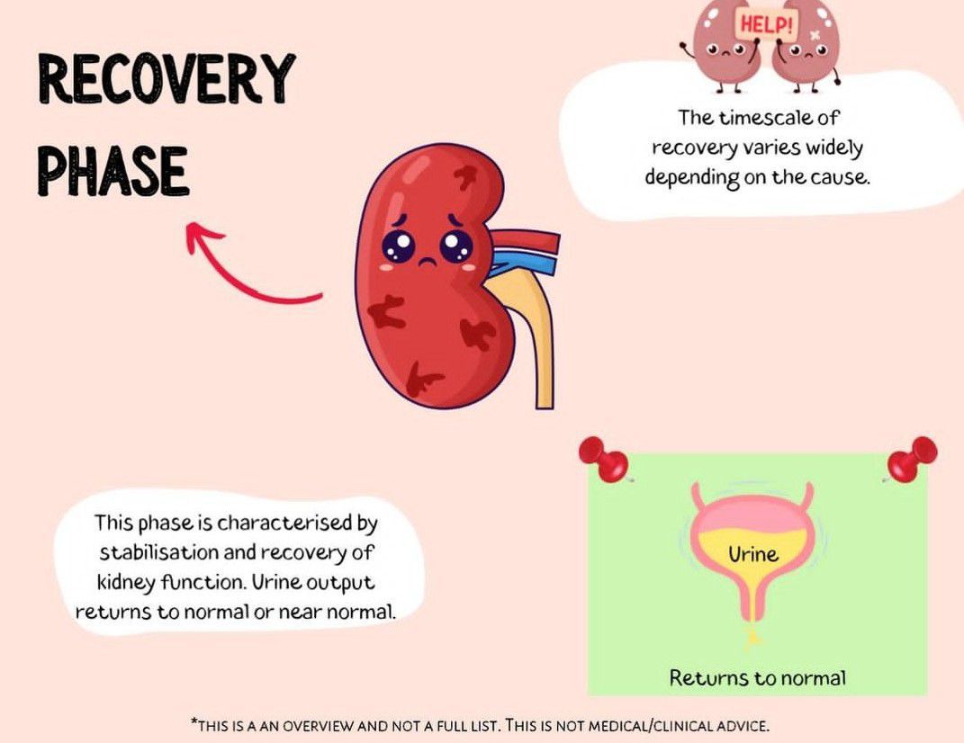 Acute Kidney Injury (AKI) - MEDizzy, image size:1071x826