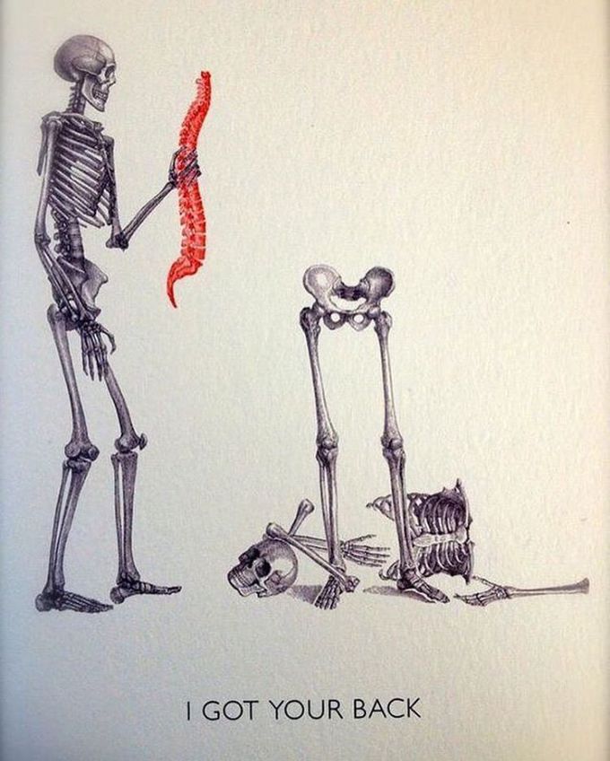 BACKBONE...!