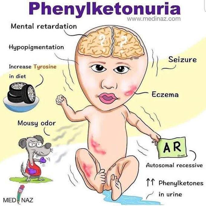 Phenylketonuria MEDizzy