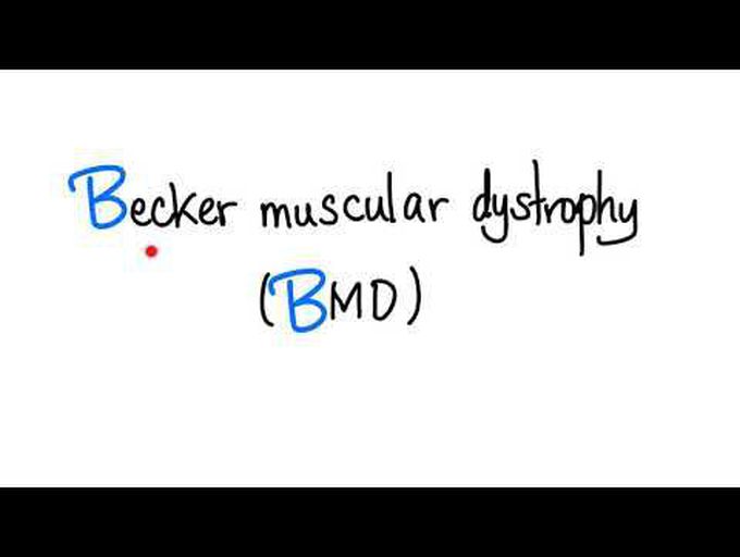 Muscle dystrophy (Beckers) - pathology of muscle