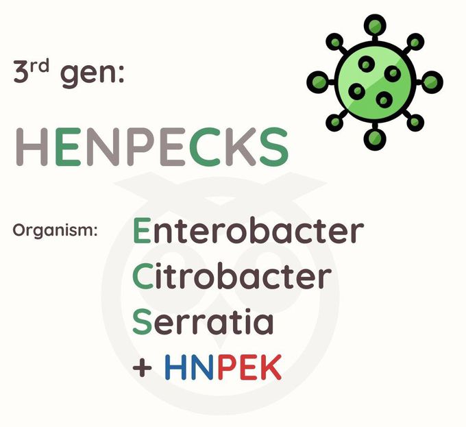 Cephalosporins- 3rd Gen