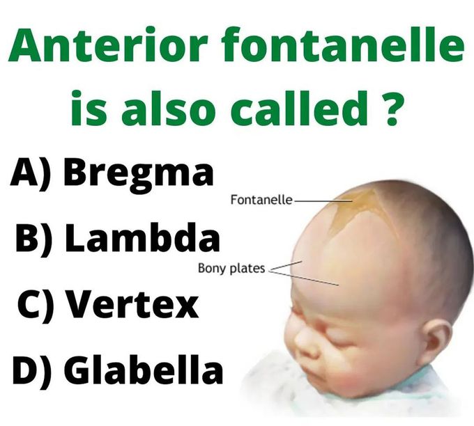 Anterior fontanelle