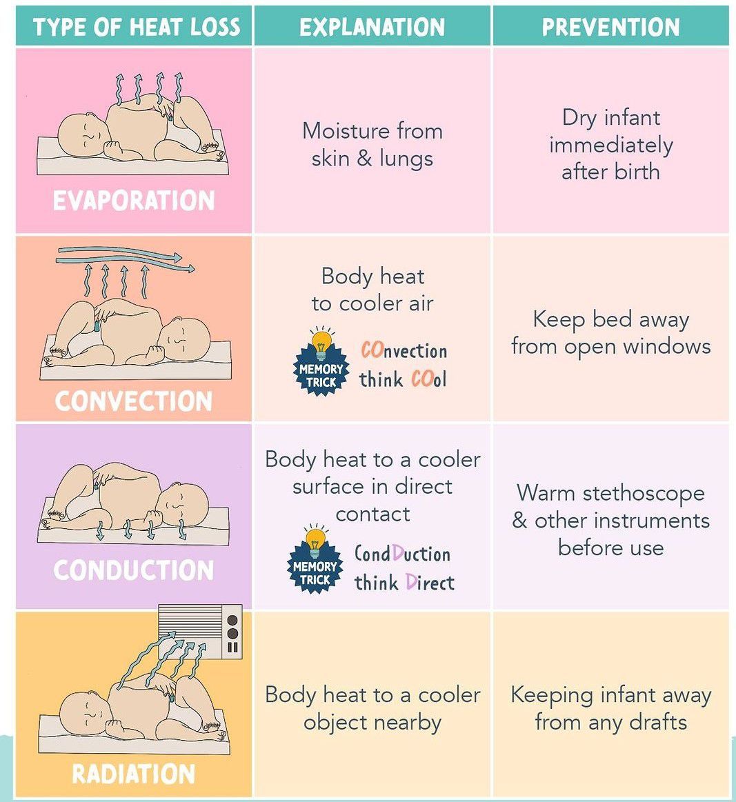 Newborn -Types of Heat Loss - MEDizzy