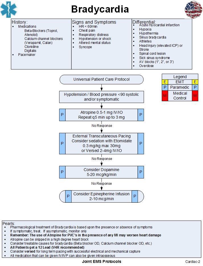 Bradycardia - MEDizzy