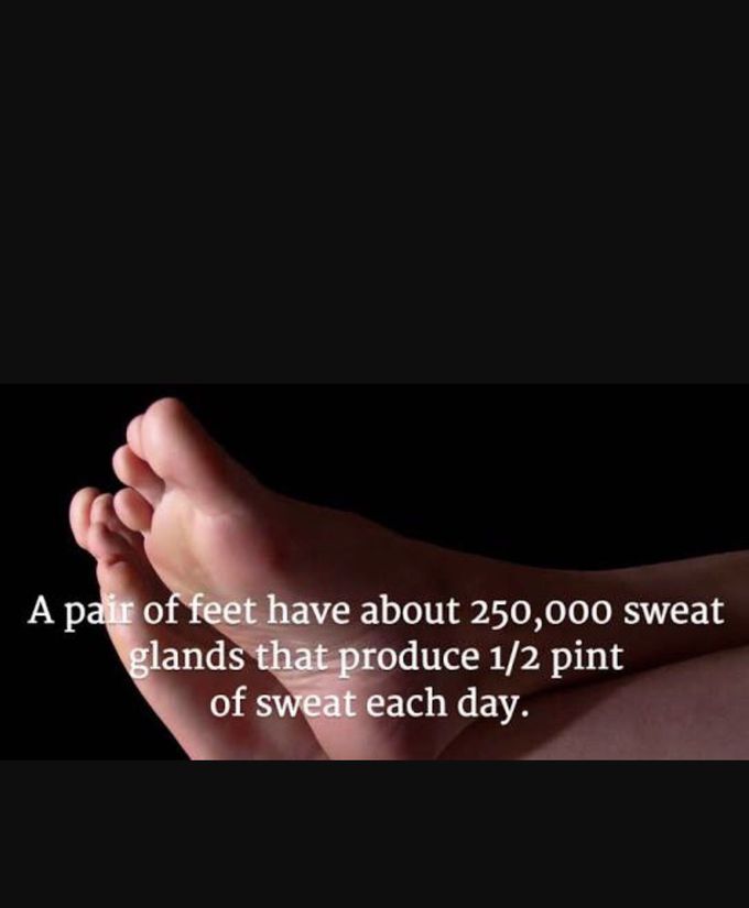 Intresting  fact about body