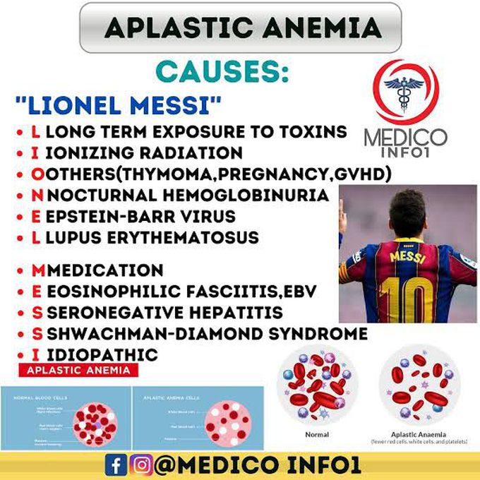 Aplastic Anemia Causes