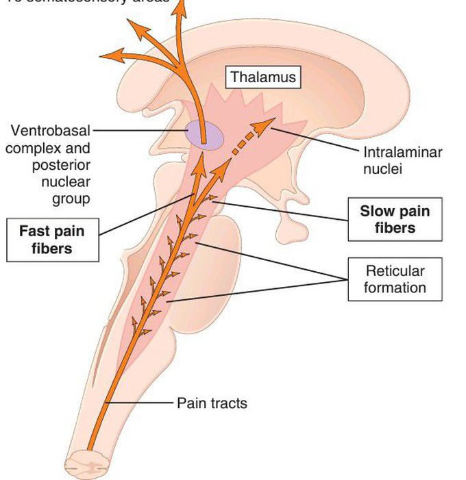 Pain modulation