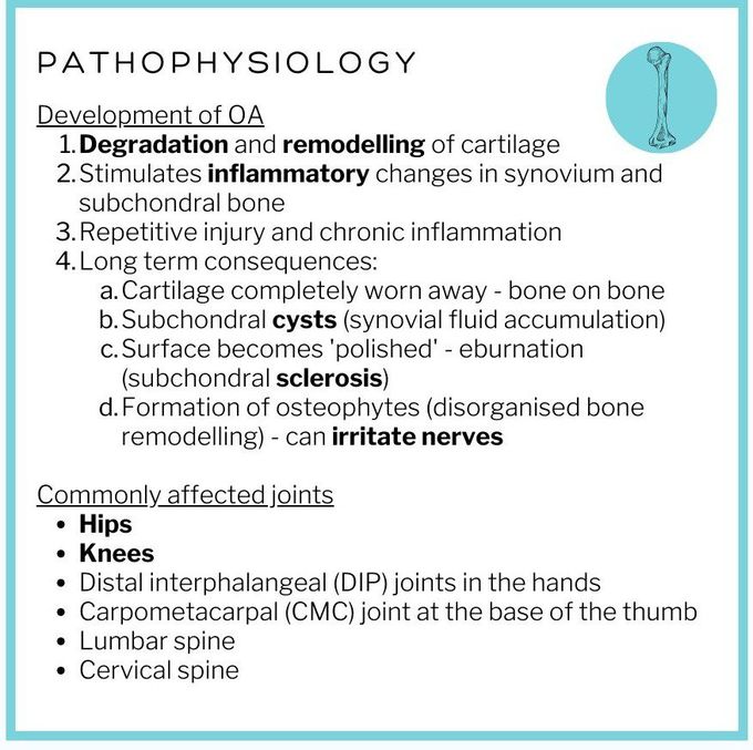 Osteoarthritis II