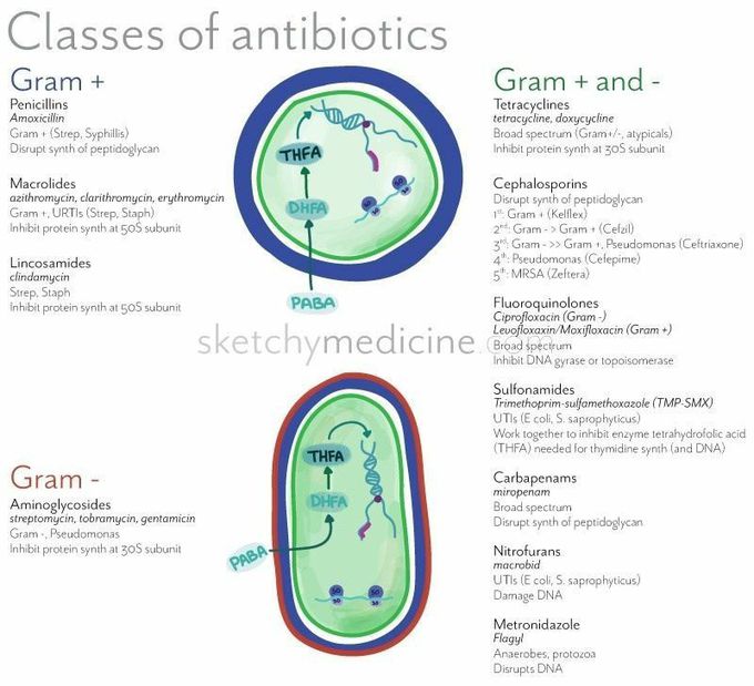 Classes of antibiotics