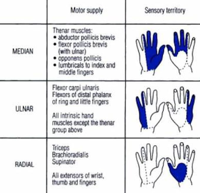 MOTOR & SENSORY.SUPPLY