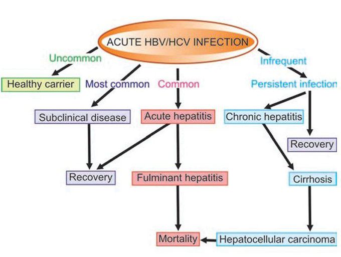 Acute hepatitis infection