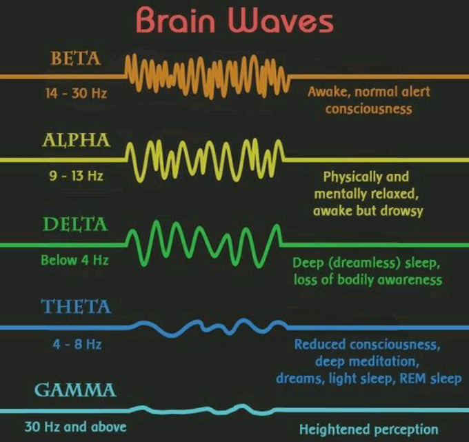 Brain waves