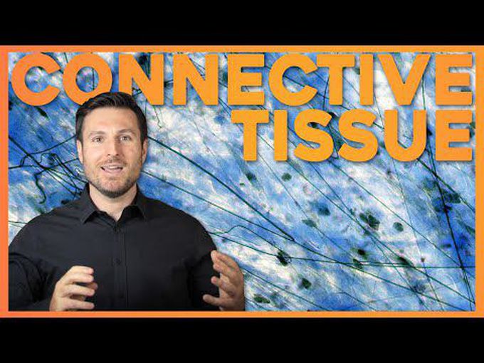 Connective Tissue Basics-I