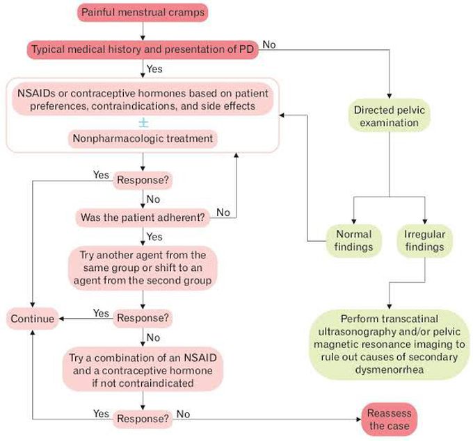 Primary Dysmenorrhoea Management