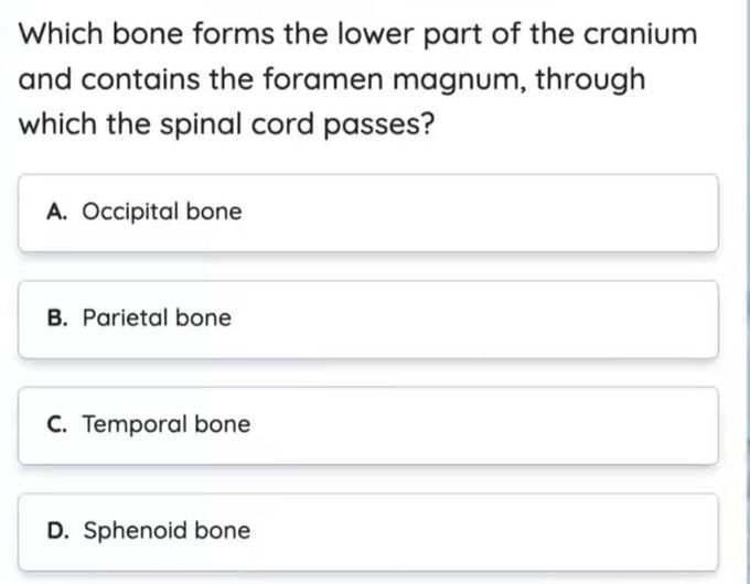 Foramen Magnum