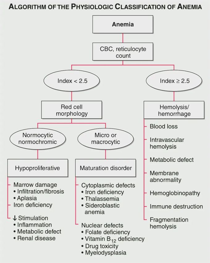 Classification of Anemia