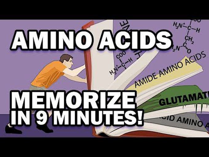 Learning 9 Amino acids. Quick review.