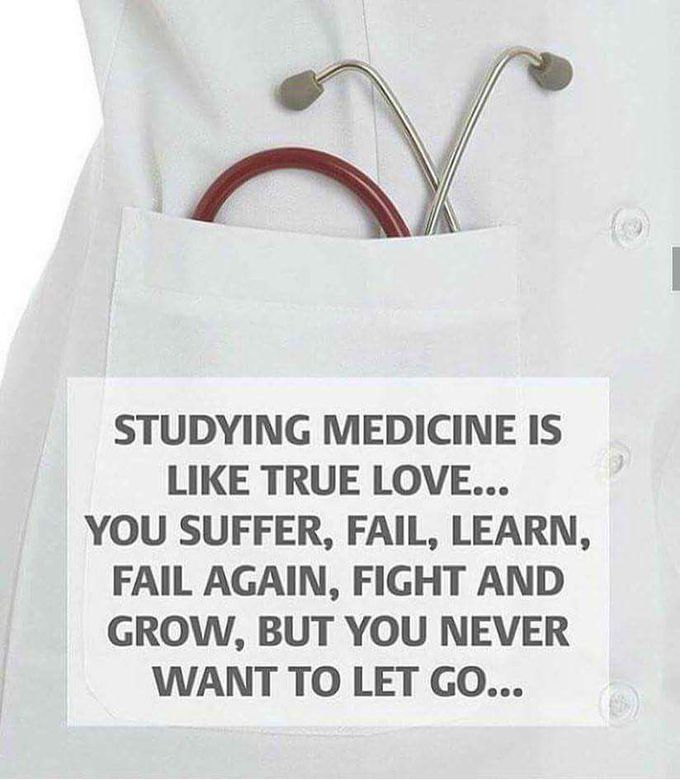Medical career