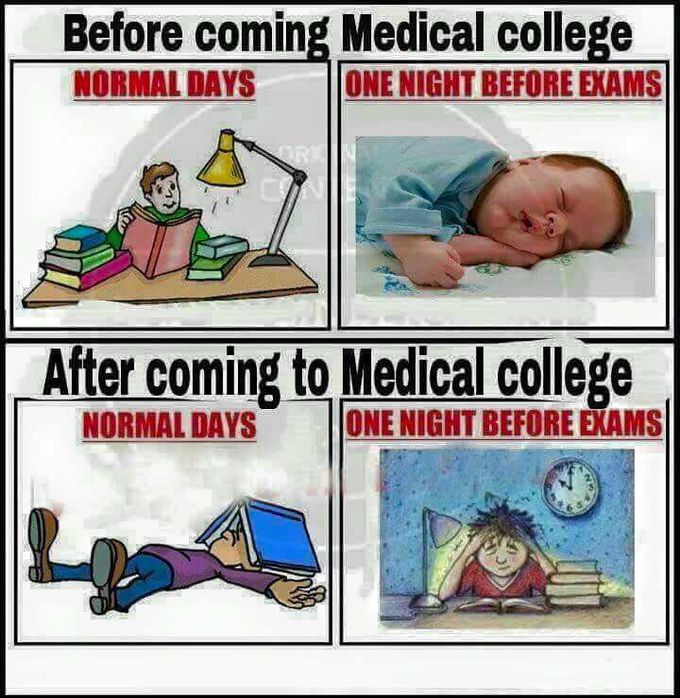 MEDICAL STUDENT LIFE
