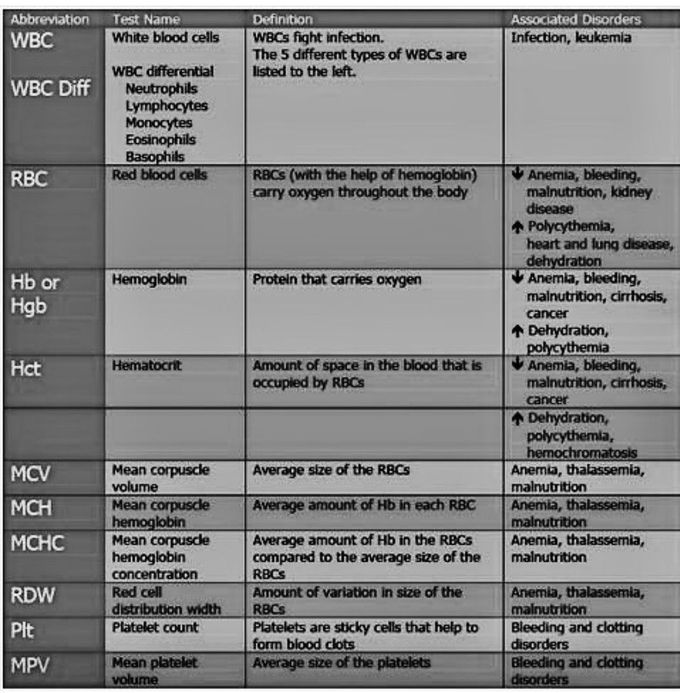 Blood Profile