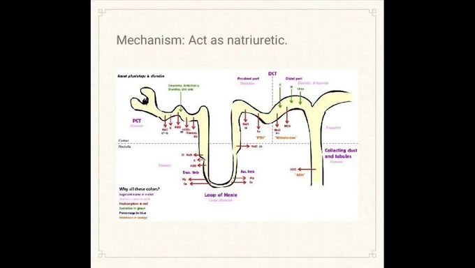Antihypertensive drugs