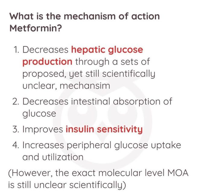 Metformin III