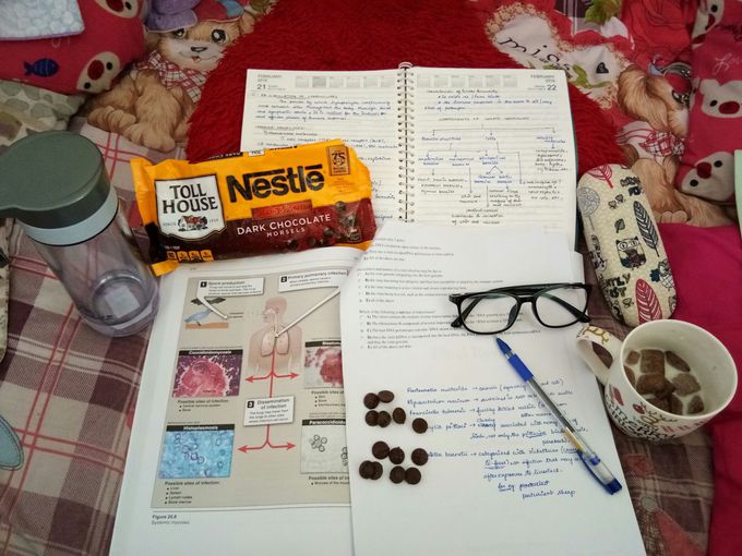Study time